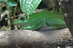 Zoo Leipzig