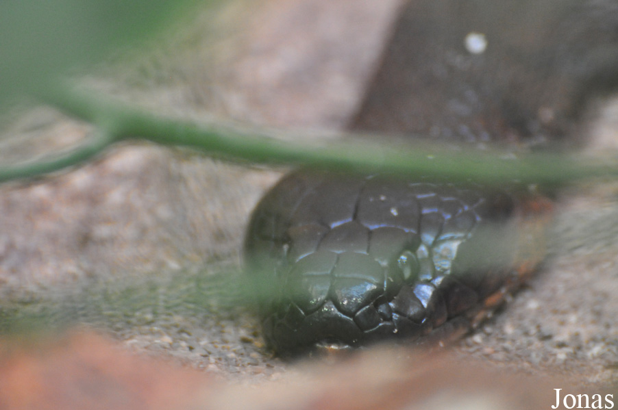 Zoo Leipzig