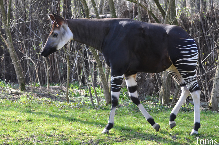Zoo Leipzig