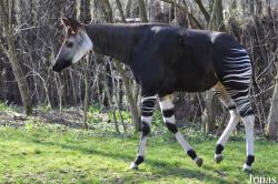 Zoo Leipzig