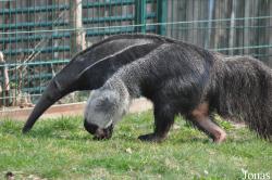 Zoo Halle