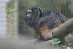 Zoologischer Garten Magdeburg