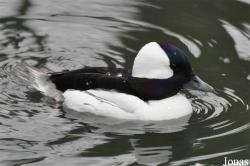 Zoologischer Garten Magdeburg