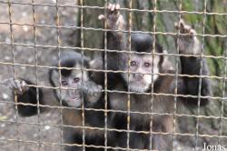 Zoo Hoyerswerda