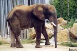 Zoo d'Amnéville