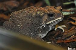 Tierpark Chemnitz