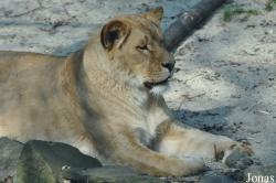 Tierpark Chemnitz