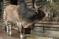 Zoo Kaiserslautern