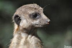 Aqua Zoo Friesland