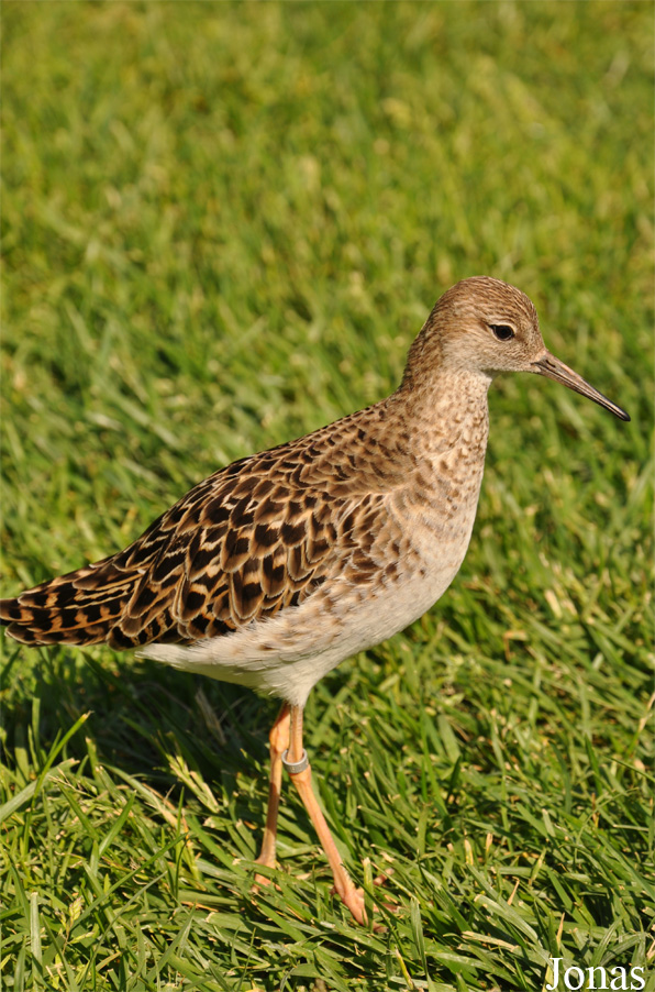 Diergaarde Blijdorp