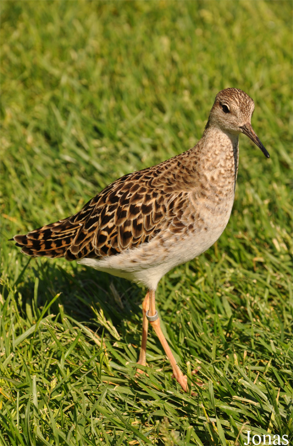 Diergaarde Blijdorp