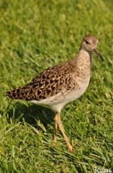 Diergaarde Blijdorp