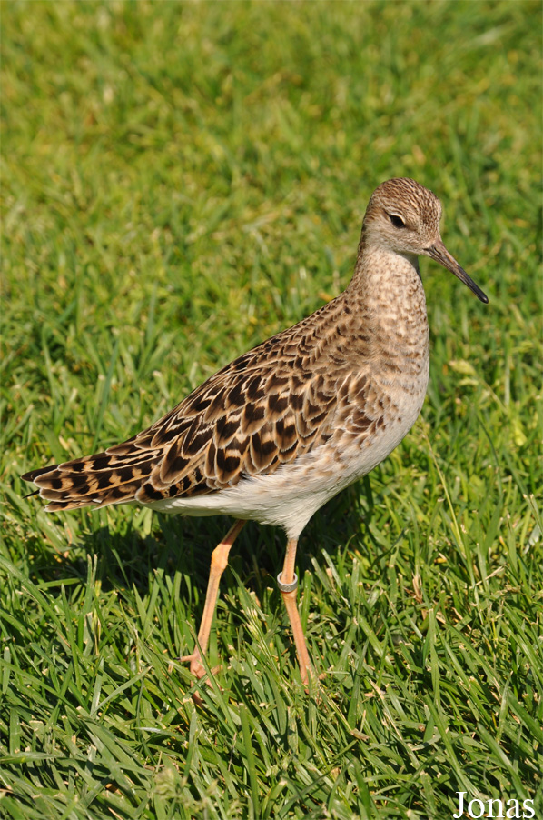 Diergaarde Blijdorp