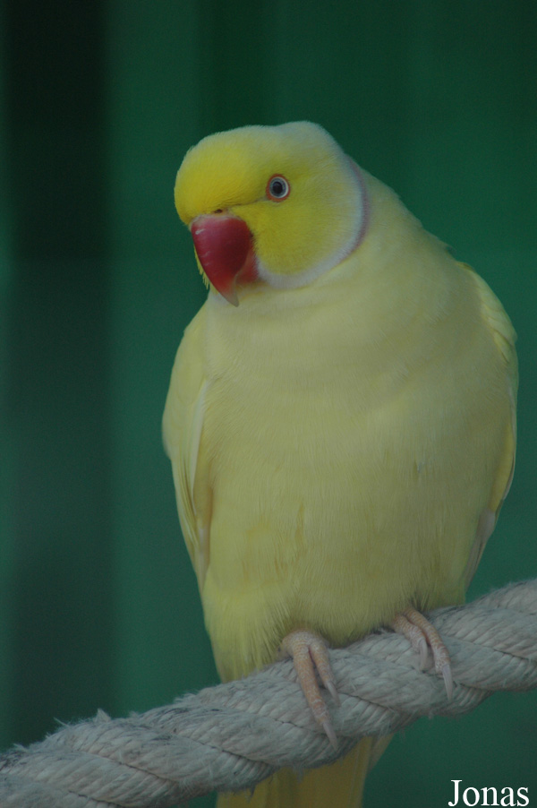 Zoo de Sevilla