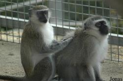 Zoo de Sevilla