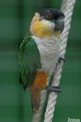 Zoo de Sevilla