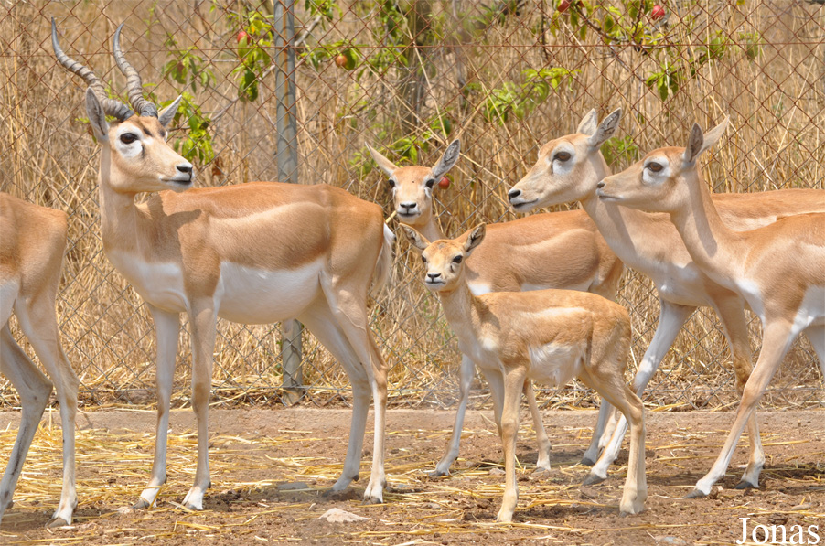 Zoo Alt Camp