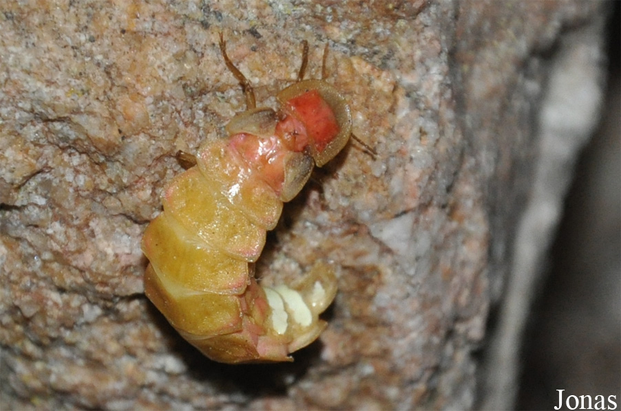 Aiguablava