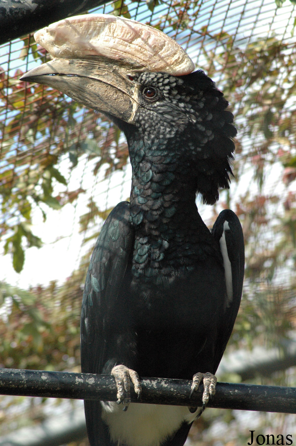 Parque Zoológico de Lagos