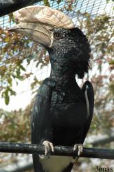 Parque Zoológico de Lagos