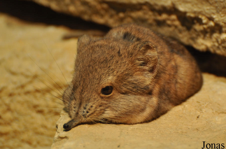 Zoo Basel