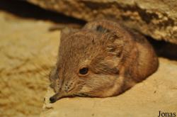 Zoo Basel