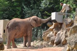 Zoo d'Amnéville