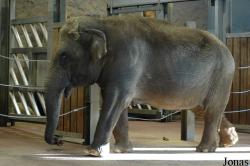 Neunkircher Zoologischer Garten