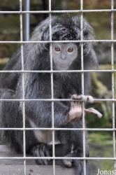 Zoo Negeri Johor