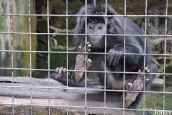 Zoo Negeri Johor