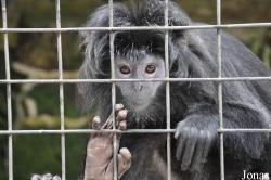 Zoo Negeri Johor