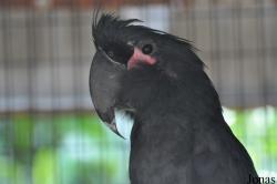 Zoo Negeri Johor