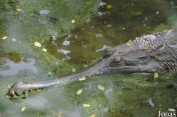 Taman Rama-Rama & Reptilia Melaka