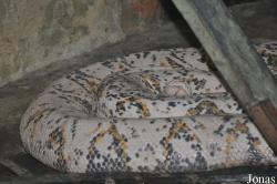 Taman Rama-Rama & Reptilia Melaka
