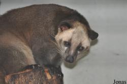 Zoo Melaka