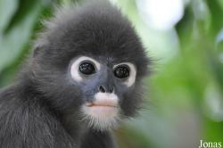 A'Famosa Animal World Safari