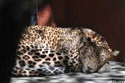 Zoo Negara