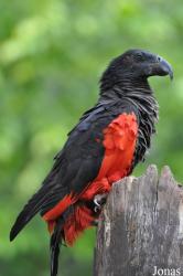 Sunway Wildlife Interactive Zoo