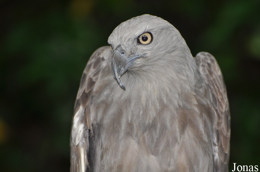 Sunway Wildlife Interactive Zoo
