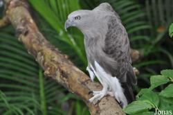 Sunway Wildlife Interactive Zoo