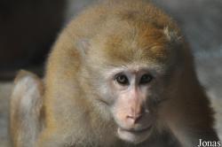 Hanoi Zoological Gardens
