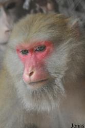 Hanoi Zoological Gardens