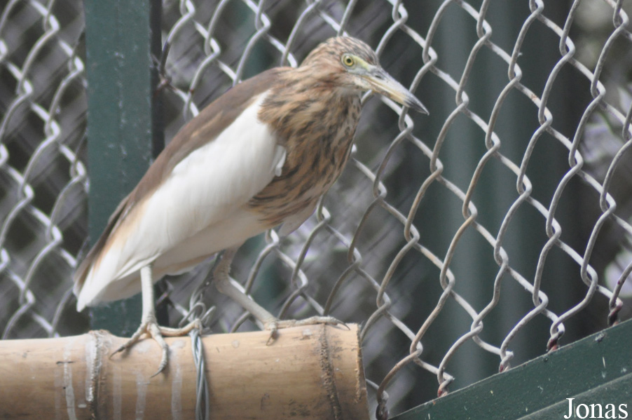 Hanoi Zoological Gardens