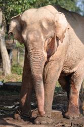 Lao Zoo