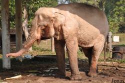 Lao Zoo