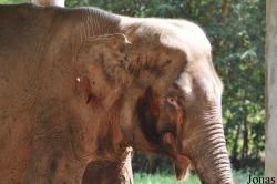 Lao Zoo