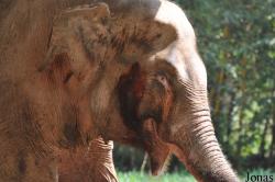 Lao Zoo
