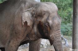 Lao Zoo
