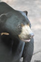 Lao Zoo