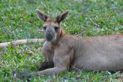 Lao Zoo